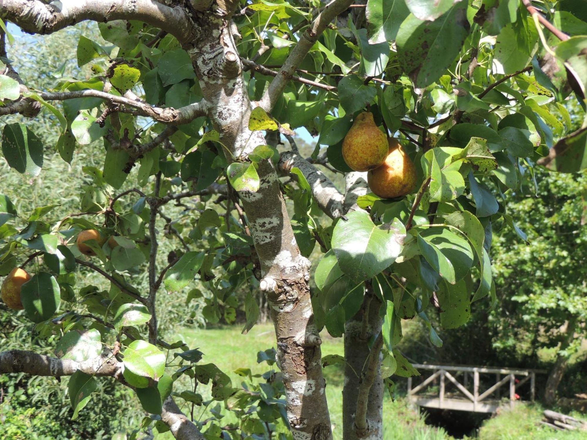 Casa De Campo Pumarada De Oirin Foz Ngoại thất bức ảnh